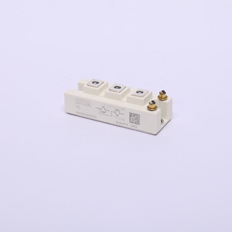IGBT-Modules-SKM100GB125DN